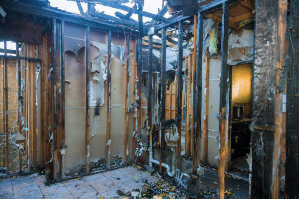 Professional Fire Damage Removal technician working in Montrose, VA